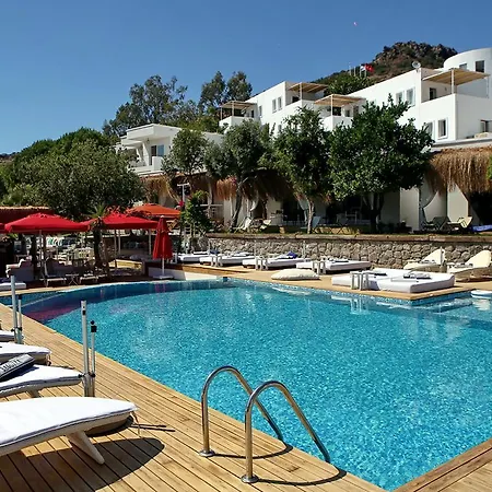 Hotel Moon Beach *
