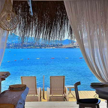 Moon Beach *