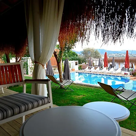 Moon Beach *