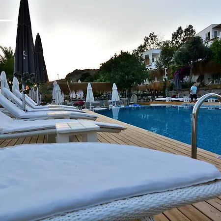 Moon Beach
